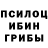 Галлюциногенные грибы Cubensis Ya_ jokai