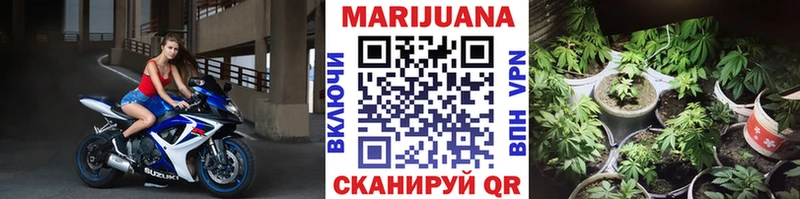Конопля Bruce Banner  Пошехонье 